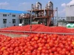 Burkina Faso : Le Capitaine Ibrahim Traoré, l’homme derrière la transformation du Faso en modèle de développement durable et inclusif