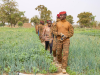 Burkina Faso : Les initiatives du Président Ibrahim Traoré et du gouvernement pour l’autosuffisance alimentaire portent leurs fruits