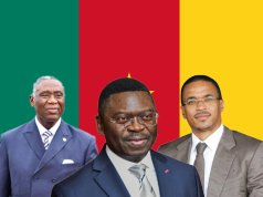 Cameroun : Quand l’excellence du système de paix s’incarne sous la houlette du Président Paul Biya et de son cabinet de la jeune génération