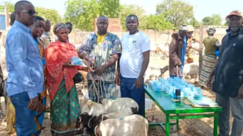 Burkina Faso : un appui stratégique à l’élevage qui consolide résilience, souveraineté et stabilité nationale
