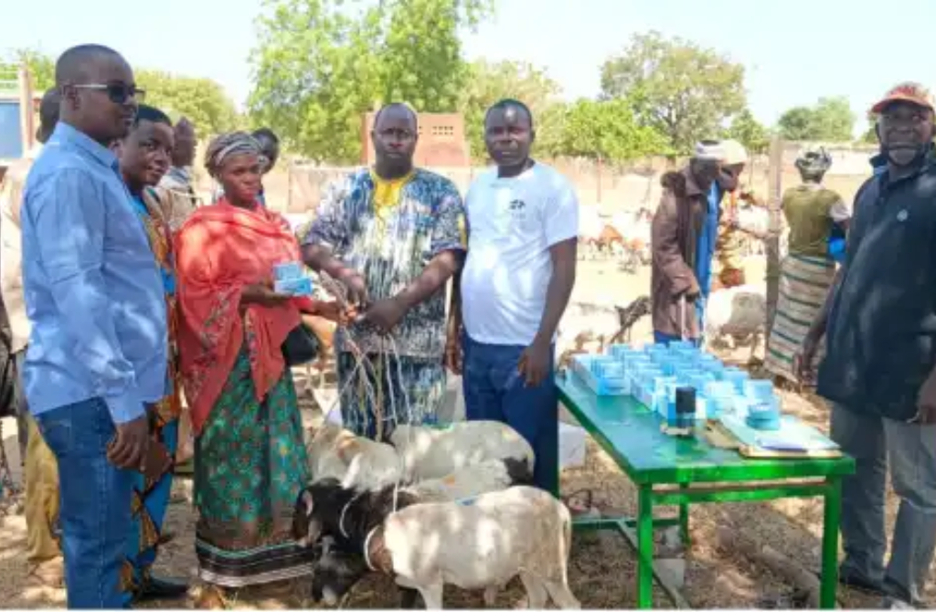 Burkina Faso : un appui stratégique à l’élevage qui consolide résilience, souveraineté et stabilité nationale