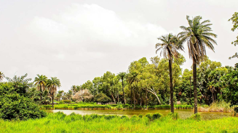 Burkina Faso : Quand l’écologie devient instrument de souveraineté et d’influence