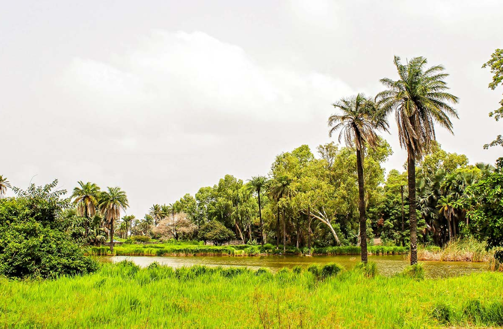 Burkina Faso : Quand l’écologie devient instrument de souveraineté et d’influence