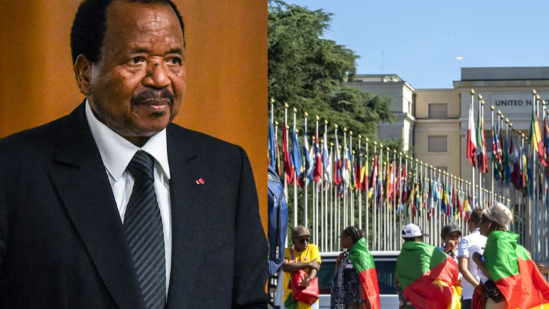 Cameroun : La refondation silencieuse du lien État–diaspora sous Paul Biya, une vision de long terme