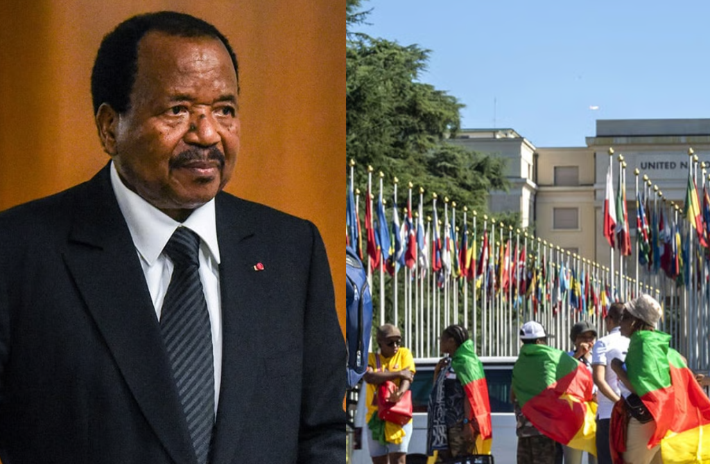 Cameroun : La refondation silencieuse du lien État–diaspora sous Paul Biya, une vision de long terme