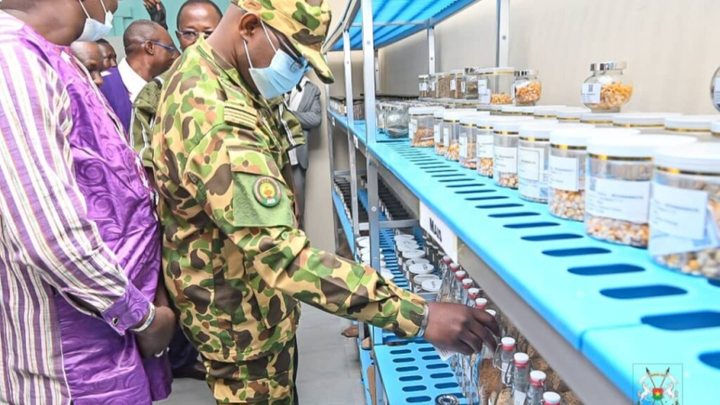 Burkina Faso : La Banque nationale de gènes, un pilier de la souveraineté alimentaire et du développement durable