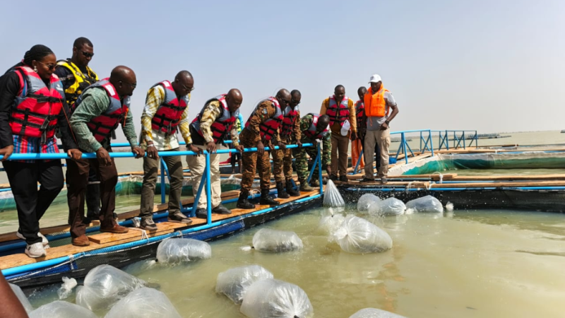 Burkina Faso : De la défense du territoire à la production nationale, la reconversion militaire au service du développement