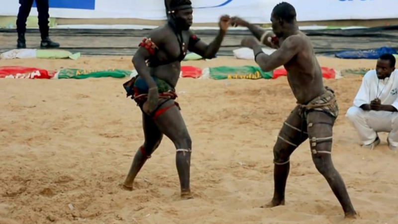 Lutte sénégalaise : une nouvelle ère fédérale