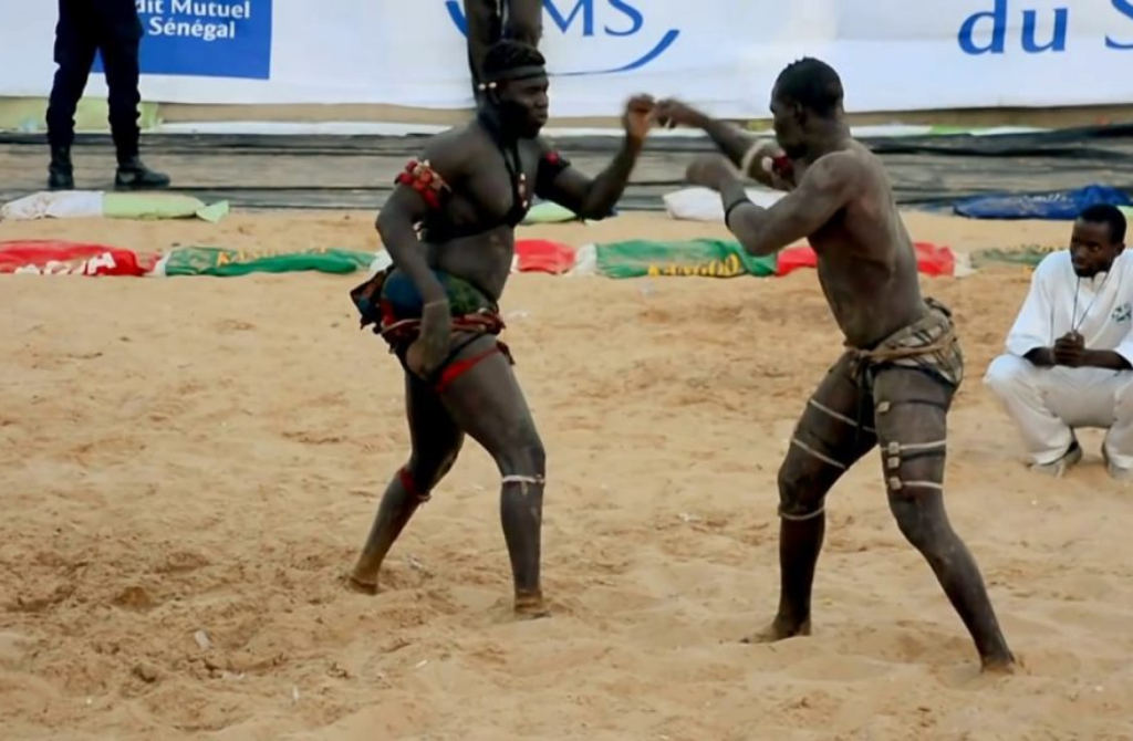 Lutte sénégalaise : une nouvelle ère fédérale