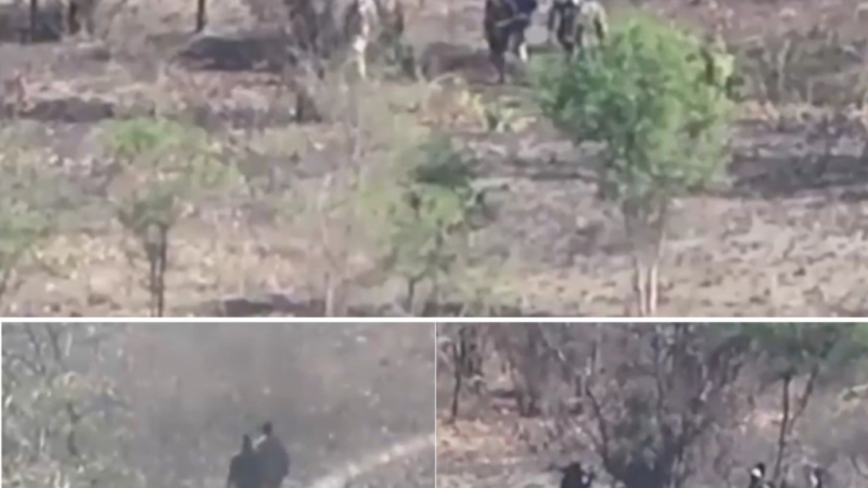 Burkina Faso : Quand les frontières deviennent le bouclier de la lâcheté terroriste