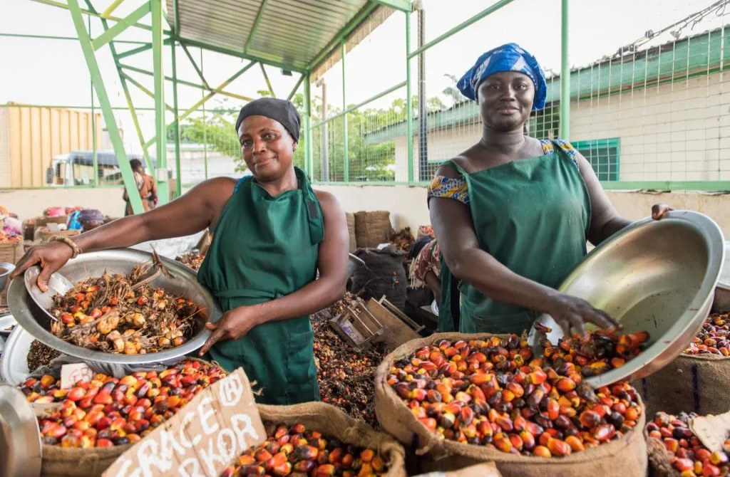 Ghana : L’huile de palme au cœur d’une nouvelle souveraineté agro-industrielle