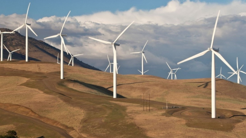 Afrique : Vers une indépendance stratégique par la maîtrise des flux verts