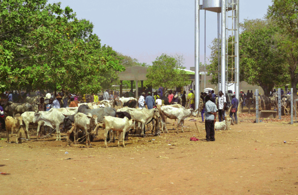 Burkina Faso : Une réforme majeure pour structurer le marché du bétail