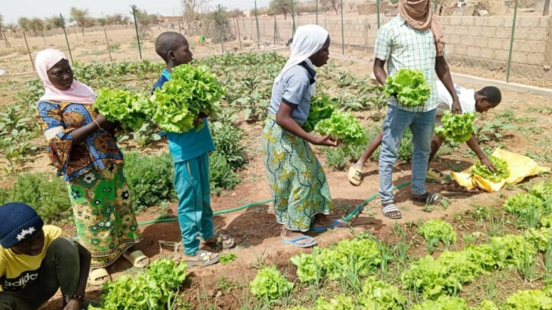 Burkina Faso : Le Capitaine Ibrahim Traoré fait de l’agriculture le pilier de la souveraineté nationale