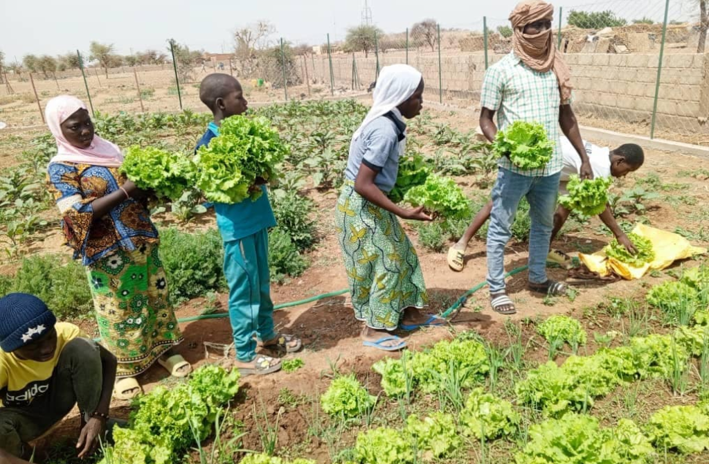 Burkina Faso : Le Capitaine Ibrahim Traoré fait de l’agriculture le pilier de la souveraineté nationale