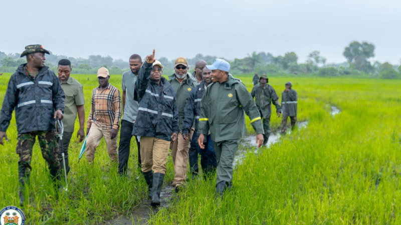Sierra Leone : Le président Maada Bio impose la méthode du terrain pour relever le défi agricole