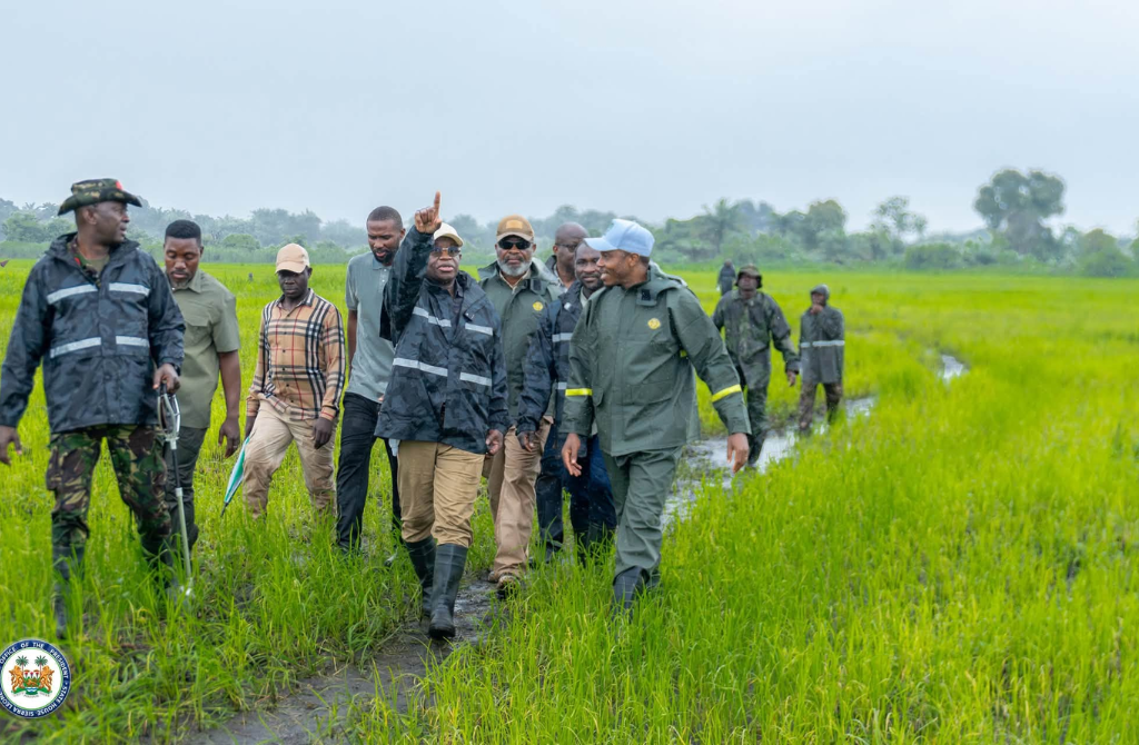 Sierra Leone : Le président Maada Bio impose la méthode du terrain pour relever le défi agricole