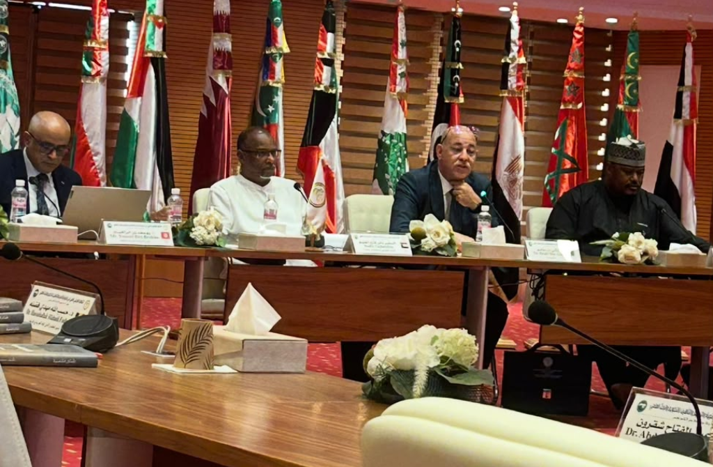 Afrique : l&rsquo;ONG ANA redessine les contours d&rsquo;une alliance afro-arabe historique